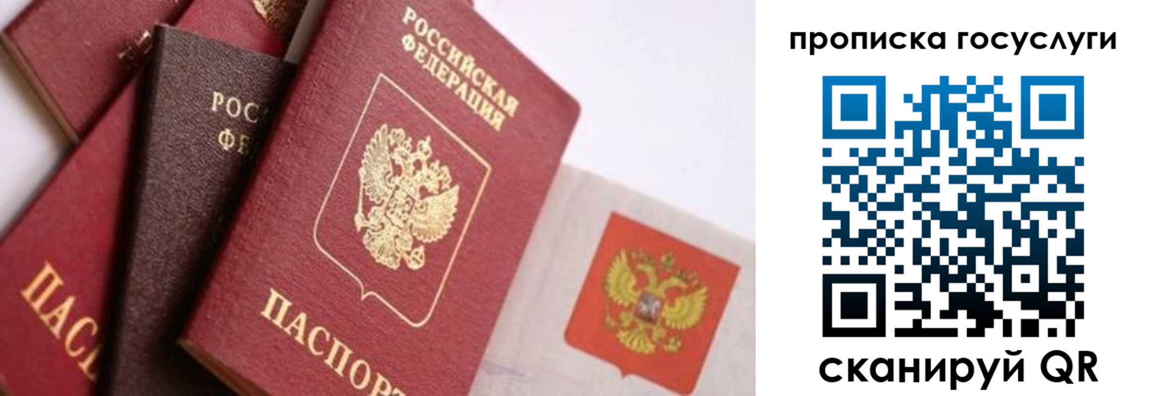прописка законно в Малой Вишере